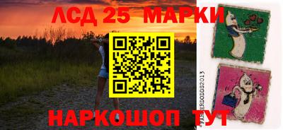 Альфа ПВП Новодвинск