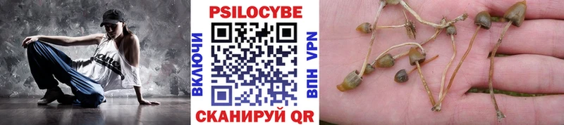 цены   Тобольск  Псилоцибиновые грибы Cubensis 