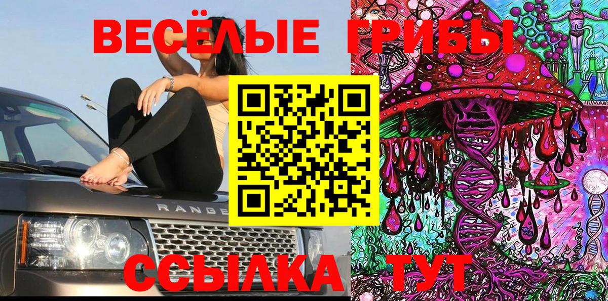 Тобольск  где можно купить наркотик  Вход с VPN  Галлюциногенные грибы прущие грибы 
